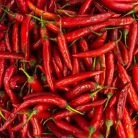 Peppers & Chillies 